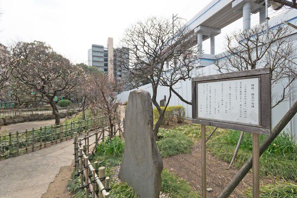 梅の名所「聖跡蒲田梅屋敷公園」まで約360m（徒歩5分）。