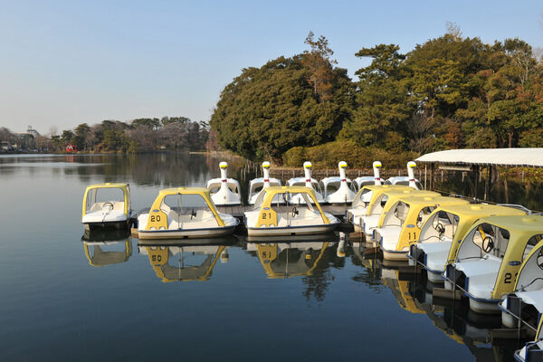 「洗足公園」まで約1,260m(徒歩16分)。			
