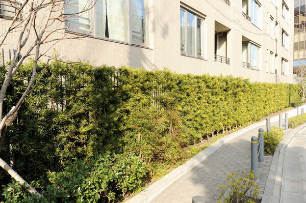 歩道沿いには植栽が施され、プライバシーの保護にも役立っています。