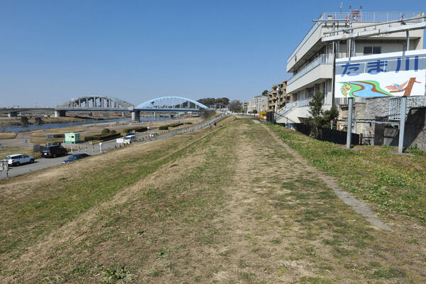 「多摩川丸子橋緑地」は、約520m（徒歩7分）。