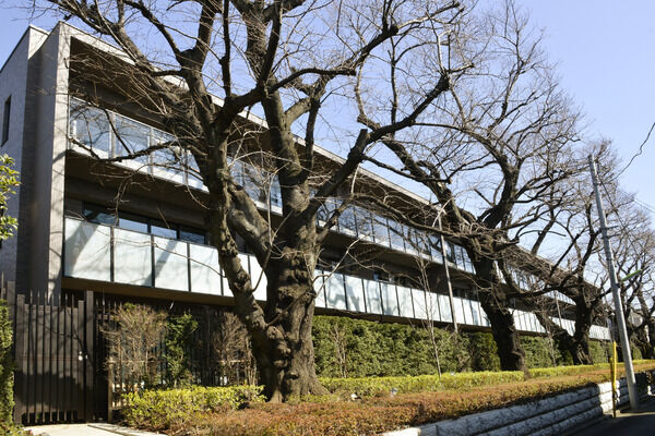 【パークホームズ世田谷赤堤】樹齢50年を超える桜の木の景観を生かした建築。窓から美しい桜の景色が望めます。