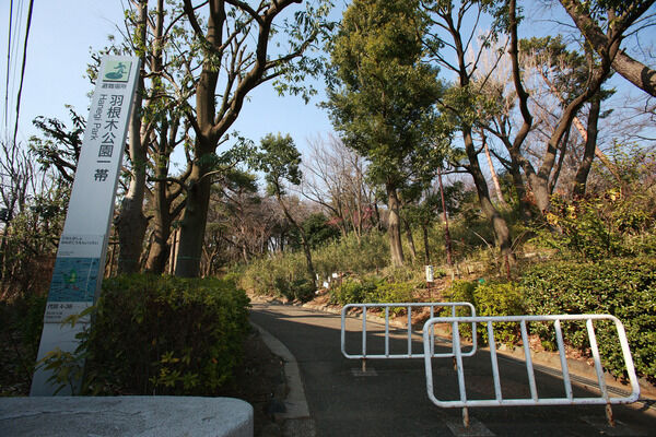 「羽根木公園」まで約1,100m(徒歩14分)。