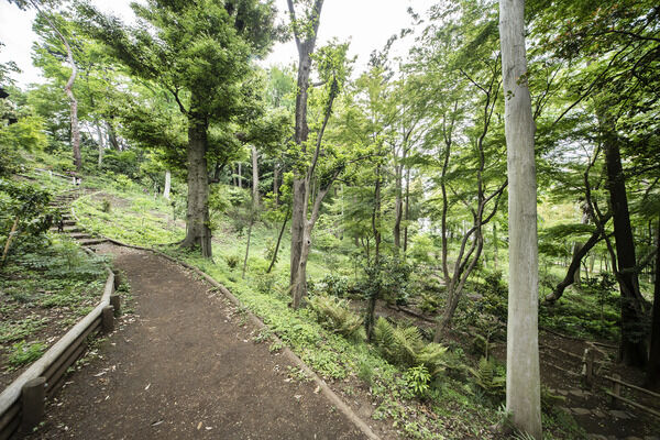 瀬田四丁目旧小坂緑地　現地より約10m