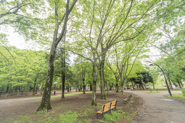 蘆花恒春園　現地より約150m