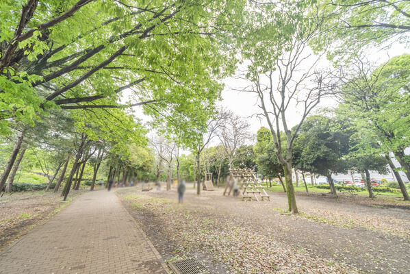 蘆花恒春園　現地より約150m