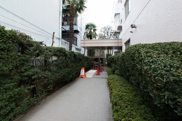 豊かな緑がエントランスへと導くアプローチ。ヤシの木がリゾート感を高めます。		