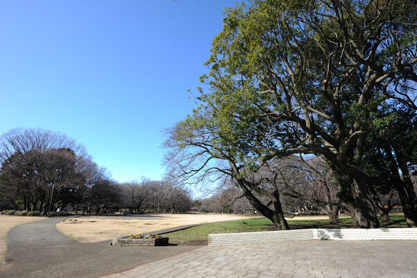 小川が流れ、花見も楽しめる「砧公園」は約2,000m（徒歩25分）。