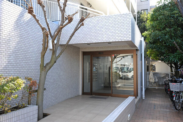 建物のあちこちに植えられた緑が白い外観を引き立てます。