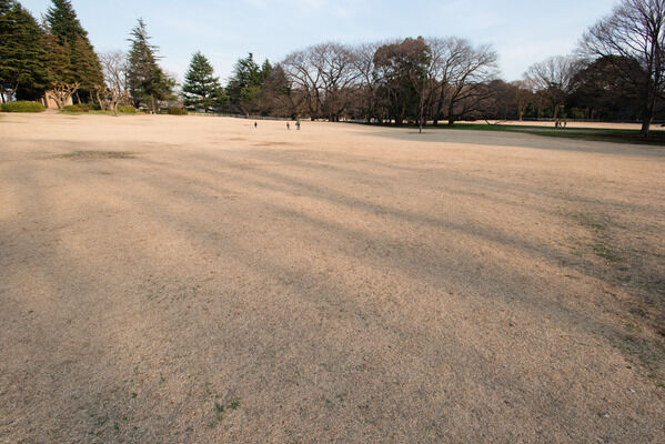「砧公園」は約160m（徒歩2分）。