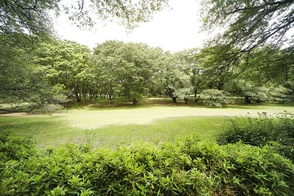 砧公園　現地より約650m