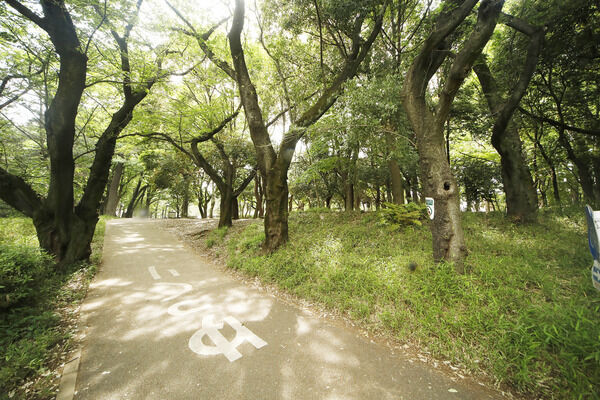 砧公園　現地より約650m