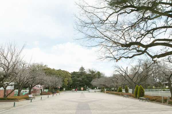 自然の中で動物と触れ合える「馬事公苑」は、約1,140m（徒歩15分）。