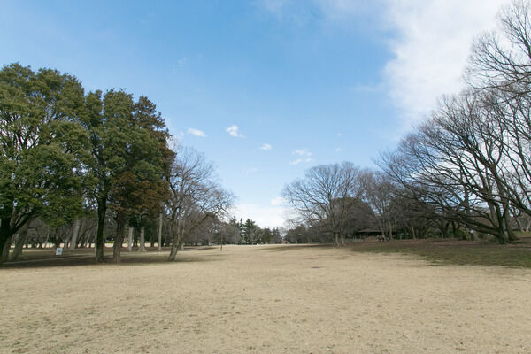 「砧公園」は、約1,100m（徒歩13分）など、緑豊かな環境が揃います。