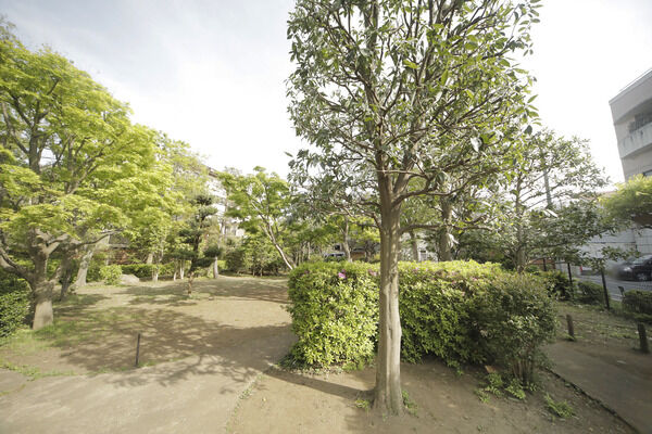 桜新町二丁目ウレシパモシリ 現地より約100m 桜新町二丁目ウレシパモシリ 現地より約100m