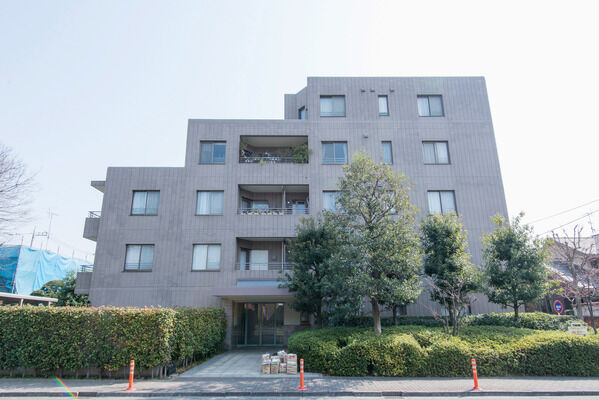 【パークハイム成城】南側の外観を囲む緑地が建物に美しい彩りを添えます。