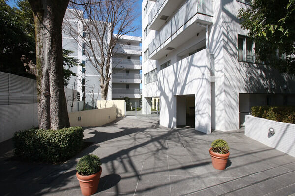 植栽がアクセントとなっているアプローチ。