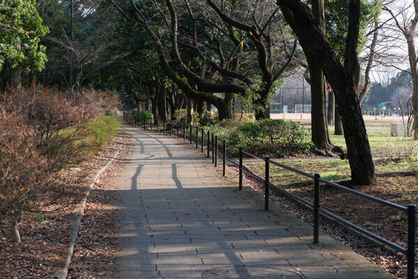 ジョギング環境が整う広大な緑豊かな「都立砧公園」まで約550ｍ（徒歩7分）。		