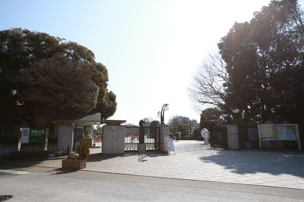 「馬事公苑」まで約1,500m（徒歩19分）で、散歩に適しています。