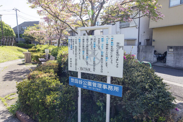 弦巻二丁目広場　現地より約50m