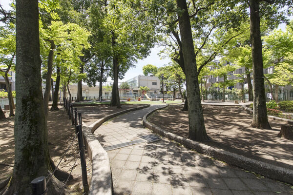 弦巻どんぐり山公園　現地より約50m