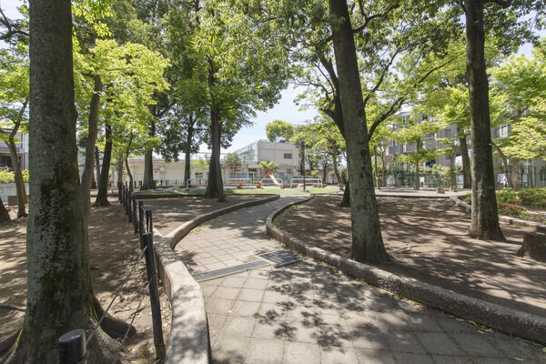 弦巻どんぐり山公園　現地より約10m