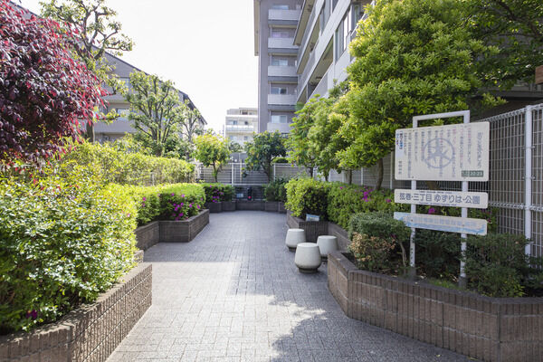 弦巻三丁目ゆずりは公園　現地より約30ｍ