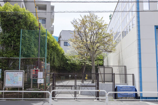 近隣公園　現地より約10ｍ