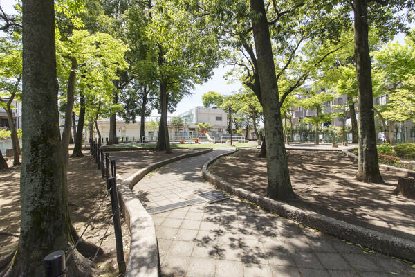 弦巻どんぐり山公園　現地より約30ｍ