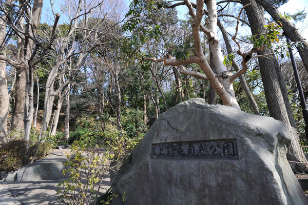 野趣に富んだ「上野毛自然公園」までは約1,000m（徒歩13分）。		