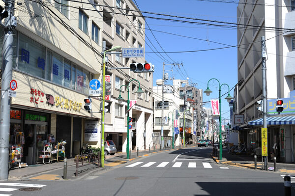 上野毛駅周辺には買物するのも楽しい商店街が並びます。