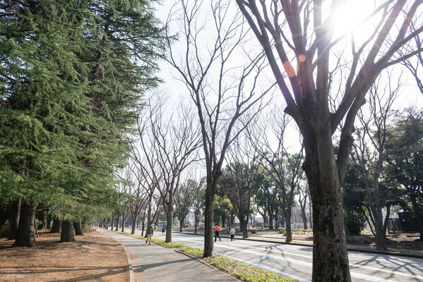 「駒沢オリンピック公園」まで約1,170m（徒歩15分）。		