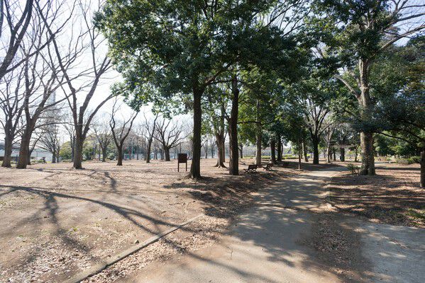「駒沢公園」までは、約1,200m（徒歩15分）。		