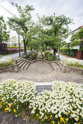 呑川親水公園　現地より約20m