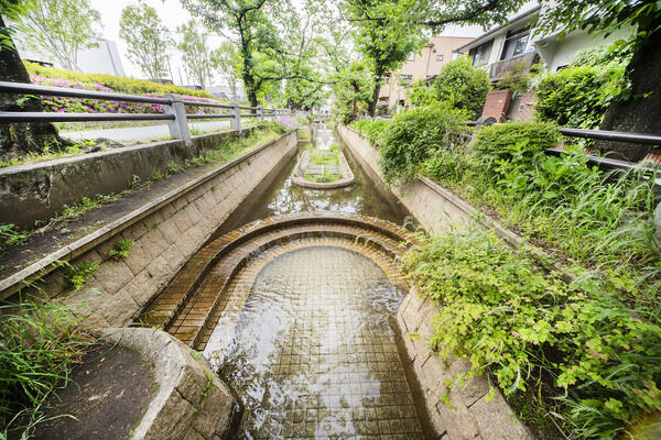 呑川親水公園　現地より約20m