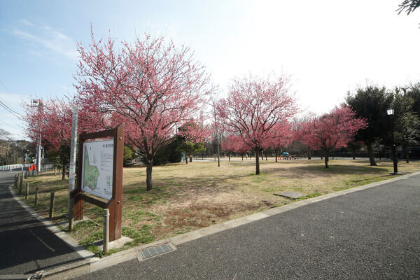 近くには「蘆花恒春園」や「烏山寺町」もあり、散歩などに最適です。