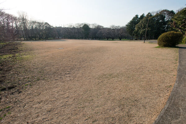 「砧公園」までは約1,640m（徒歩21分）。