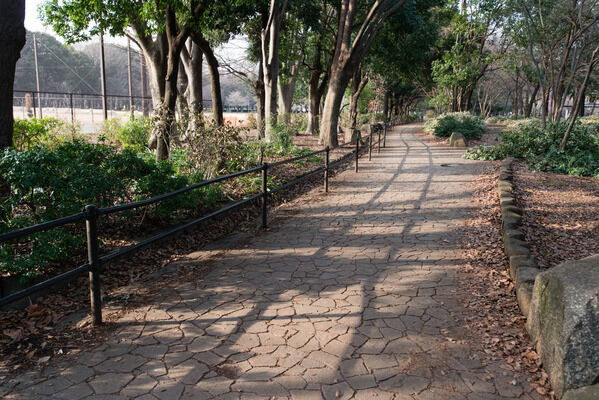 園内を小川が流れ、桜も美しい「砧公園」まで約1,300m（徒歩17分）。		