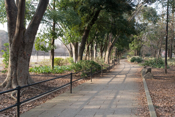 散歩にも利用できる「砧公園」まで約1,770m（徒歩23分）。		