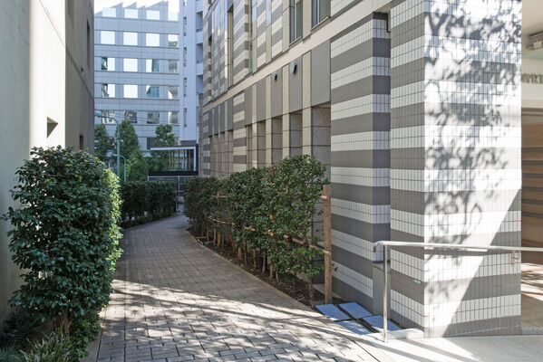 統一感のある植栽がエスコートする建物脇の小路。		