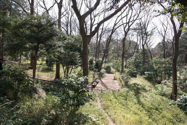 江戸の面影を偲ぶ「有栖川宮記念公園」まで約1200m（徒歩15分）。		