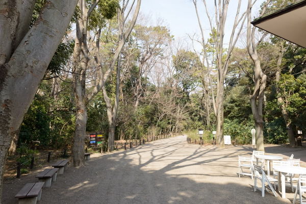 豊かな自然が残る都会のオアシス「自然教育園」まで約2,300m（徒歩29分）。