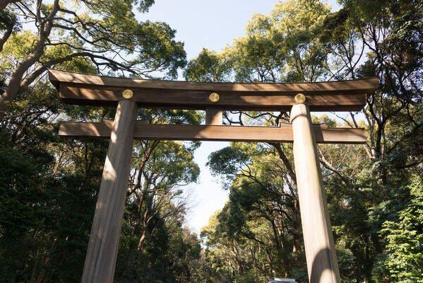 「代々木公園」まで約700m（徒歩9分）。		