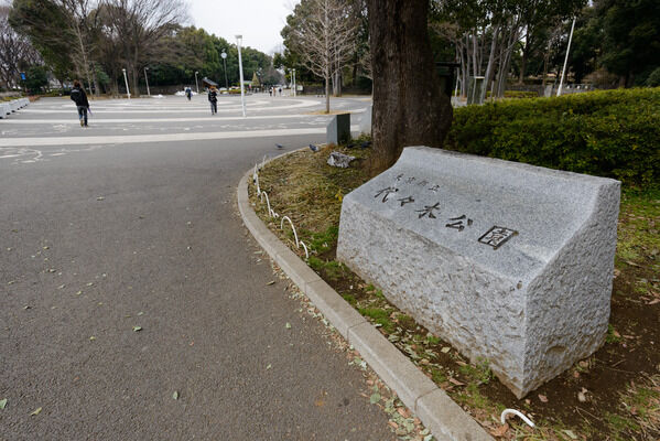 「代々木公園」までは約170m（徒歩2分）と、自然環境にも恵まれています。