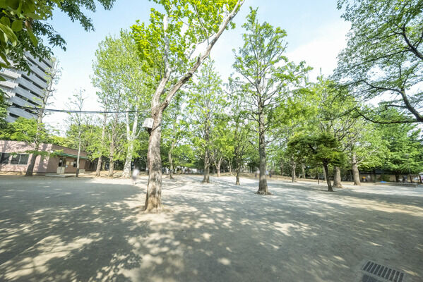 中野区立新井薬師公園　現地より約100m