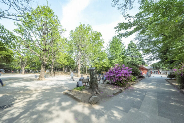 新井薬師公園　現地より約50m