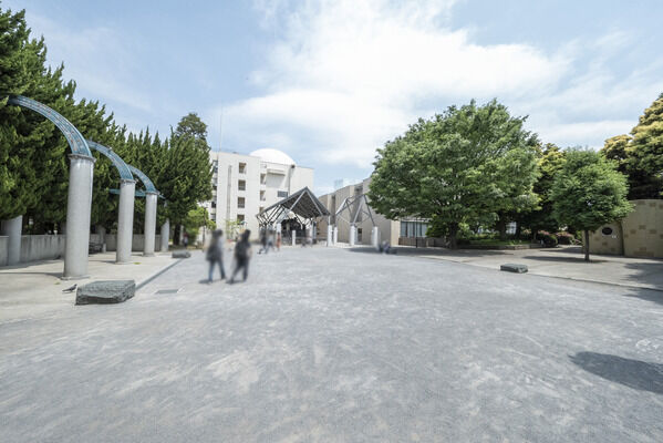 東京都中野区立紅葉山公園　現地より約50m