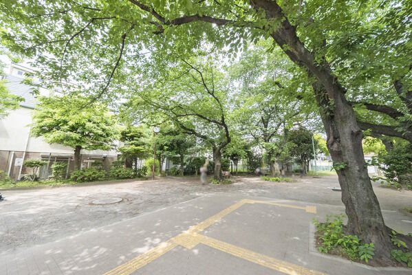 中野区立囲桃園公園　現地より約50m