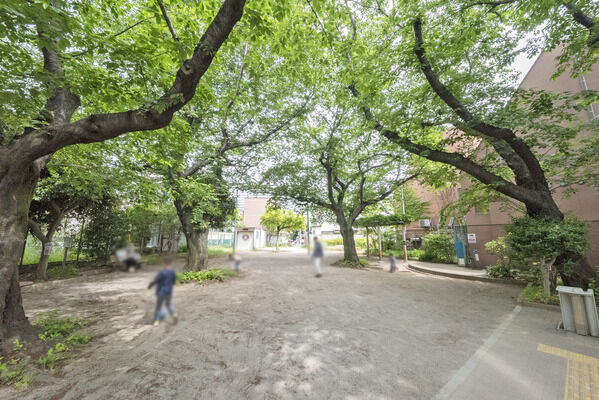中野区立囲桃園公園　現地より約50m