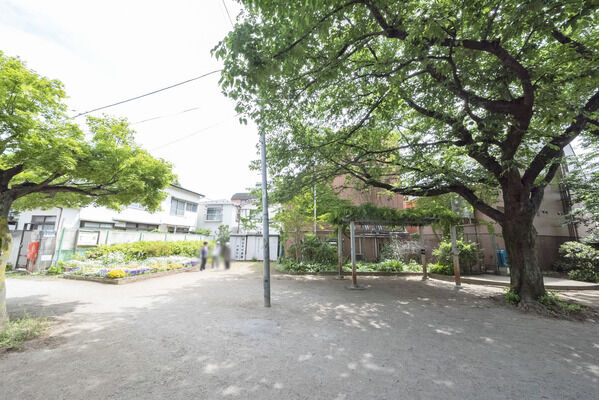 中野区立囲桃園公園　現地より約150m