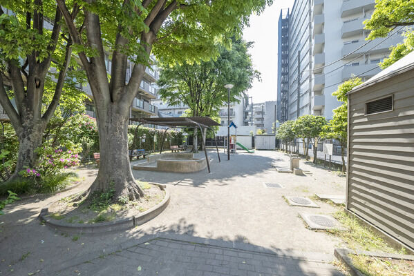 おたき公園　現地より約70m